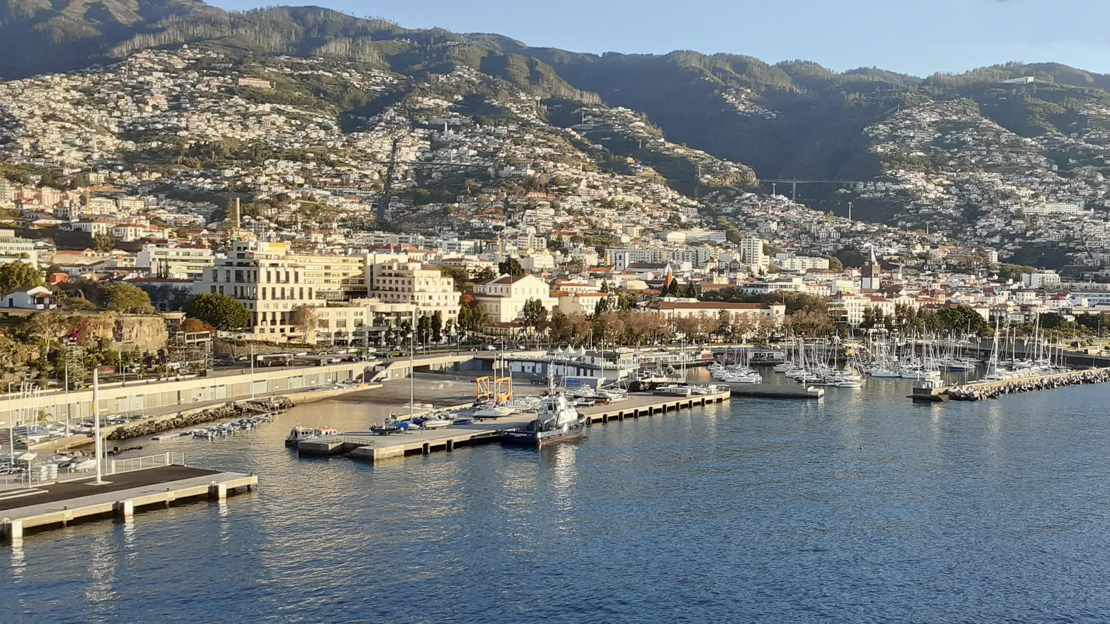Udsigt over havnebyen Funchal på øen Madeira.