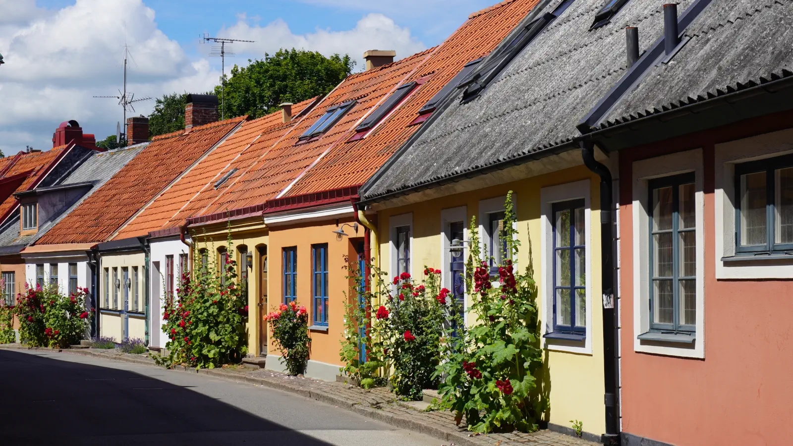 De farverige gyder i Ystad er omkranset af farvestrålende stokroser.